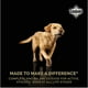 thumbnail image 4 of Diamond Super Premium Adult Dog 2.72 Kg Original Sellado, 4 of 6