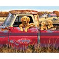 thumbnail image 1 of Paint Works Kit de Peinture par Numéro 16"X20 Pouces-Golden Ride 91525, 1 of 2