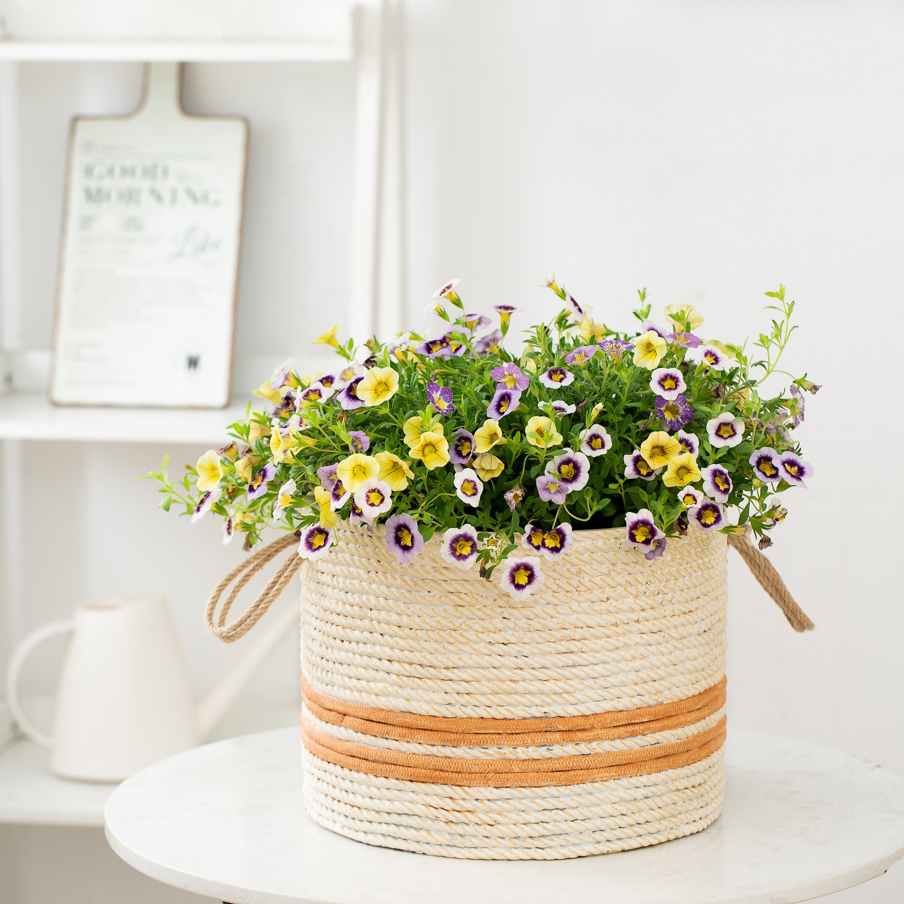 Better Homes & Gardens 12" x 12" x 9" Round Brown Concrete Weaves Seasons Green Hornet Plant Pot with Drainage Hole