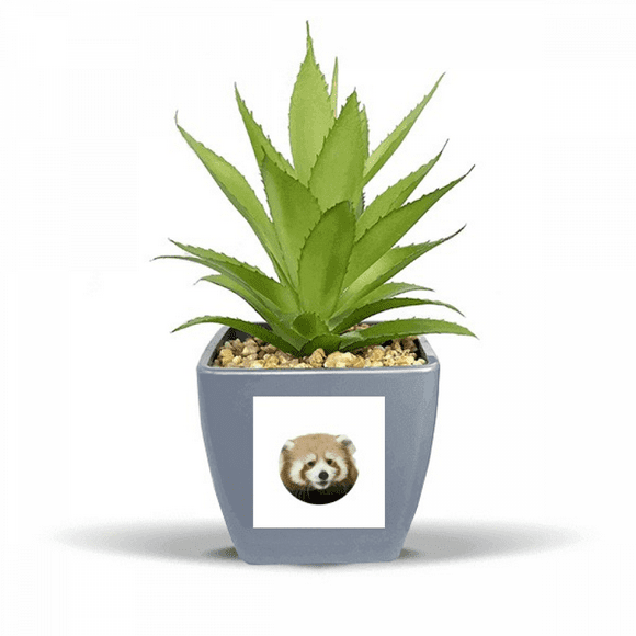 Brown Jungle Civet Cats Lovely Little Fake Pineapple Flower Pot Vase Mini Decor