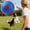 A, variant on Ailezt Calming For Jolly Herding For Large & Horses With Straps For Outdoor Play Exercise Inflatable Heavy Duty Material With