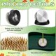 thumbnail image 4 of 6Pcs Flower Frogs Round Brass Floral Frogs Flower Holder Japanese Ikebana Vase Kenzan Flower Arrange, 4 of 5