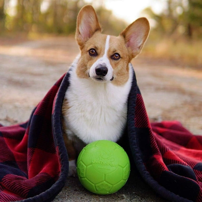 新品✨BALLSEY プレミアムウール la chienne♡プロフ必読☆ Jolly Pets Indestructible 6-inch Green Soccer Ball, Apple-Scented
