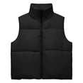 thumbnail image 5 of Zylanna Women's Cropped Puffer Vest, Full Zip Lightweight Sleeveless Stand Collar Quilted Warm Outerwear Layering Gilet Black, 5 of 7
