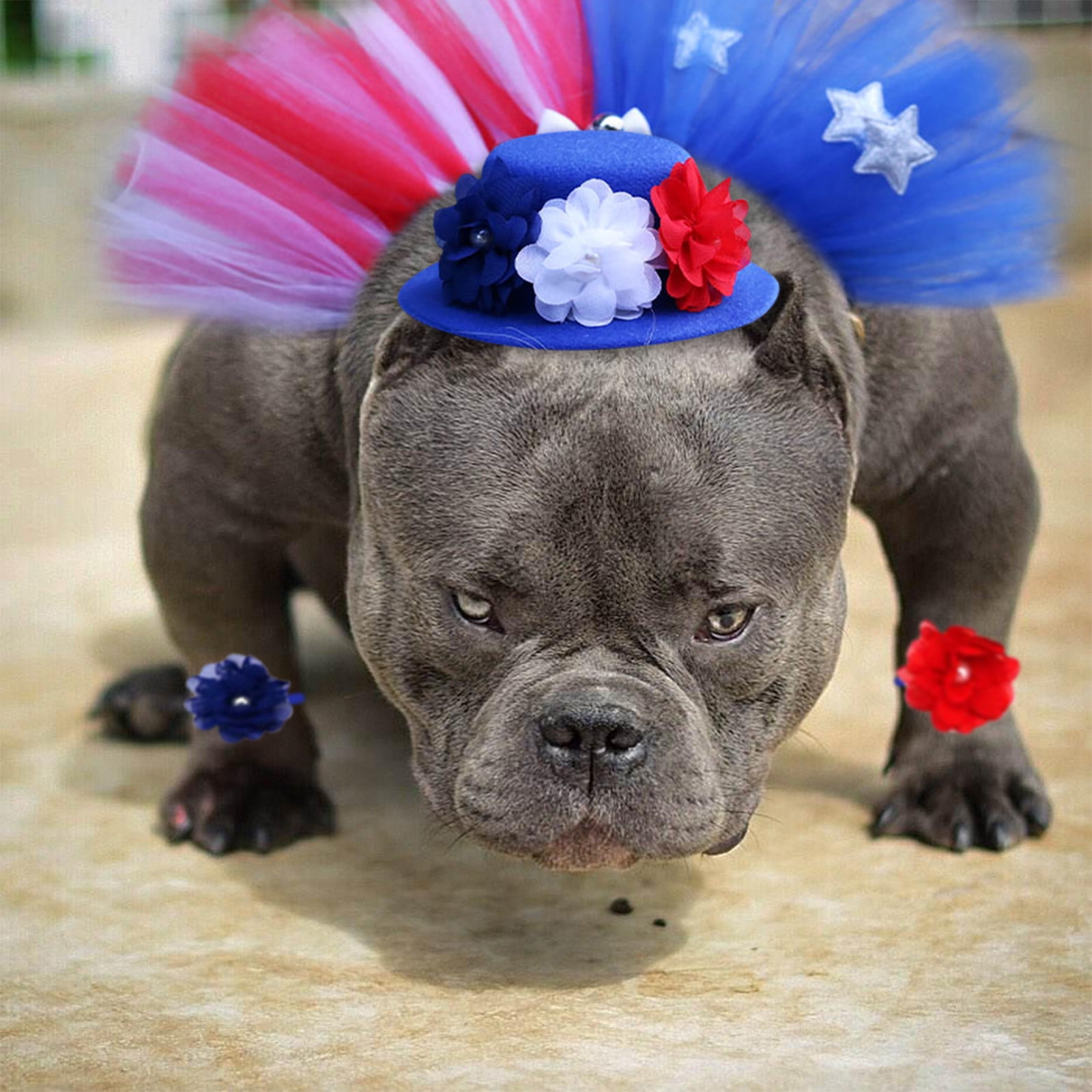 Tarmeek 4th of July Pet Patriotic Costume Adjustable Dog Hat Bandanas ...