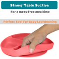 thumbnail image 2 of Suction Plate for Toddlers | BPA Free, 100% Food-Grade Silicone | Microwave, Dishwasher and Oven Safe | Stay Put Divided Baby Feeding Bowls and Dishes for Kids and Infants, 2 of 7