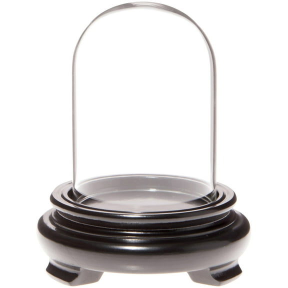 Plymor 2" x 3" Mini Glass Display Dome Cloche (Black Wood Veneer Footed Base)