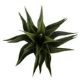 thumbnail image 4 of Bornbridge Artificial Agave Plant with Ceramic Geometric Planter - Artificial Potted Agave Plant (2 Pack, Black), 4 of 4