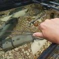 thumbnail image 1 of FOMIYES 1 De Pinzas Y Para Cambio De Y Mantenimiento En Acuario, 1 of 8