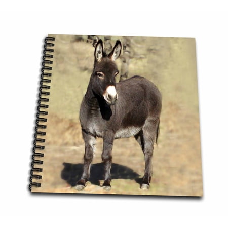 3dRose Miniature Donkey - Mini Notepad, 4 by 4-inch