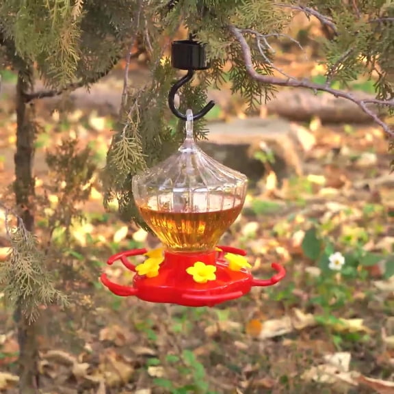 PLPPYFS Bird Feeders for Outdoors Hanging,Bee Proof, Bird Feeder with Multiple Feeding Ports, Saucer Humming Bird Feeders with Ant Moat,Ant Proof No Leak,Easy to Clean and Refill