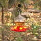 thumbnail image 4 of Comedero para Colibríes con Forma de Calabaza, Gancho a Prueba de Hormigas, Comedero Colgante para Flores, 4 of 7