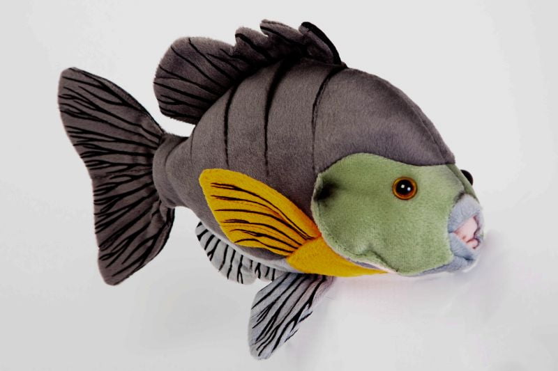 sunfish plush