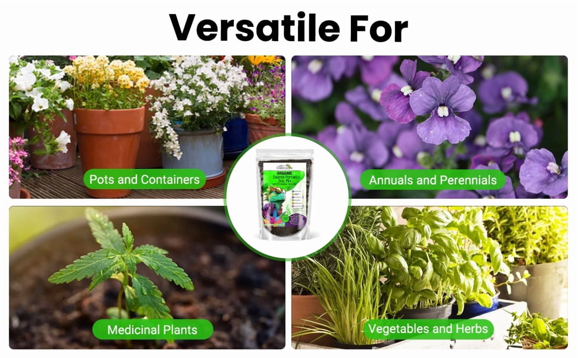 Funny Chameleon Organic Starter Potting Soil Mix with Mycorrhizal Inoculant for Fast Germination, Vigorous Seedlings, Strong Root Systems, Ideal pH, Disease Resistance (20 QUARTS)