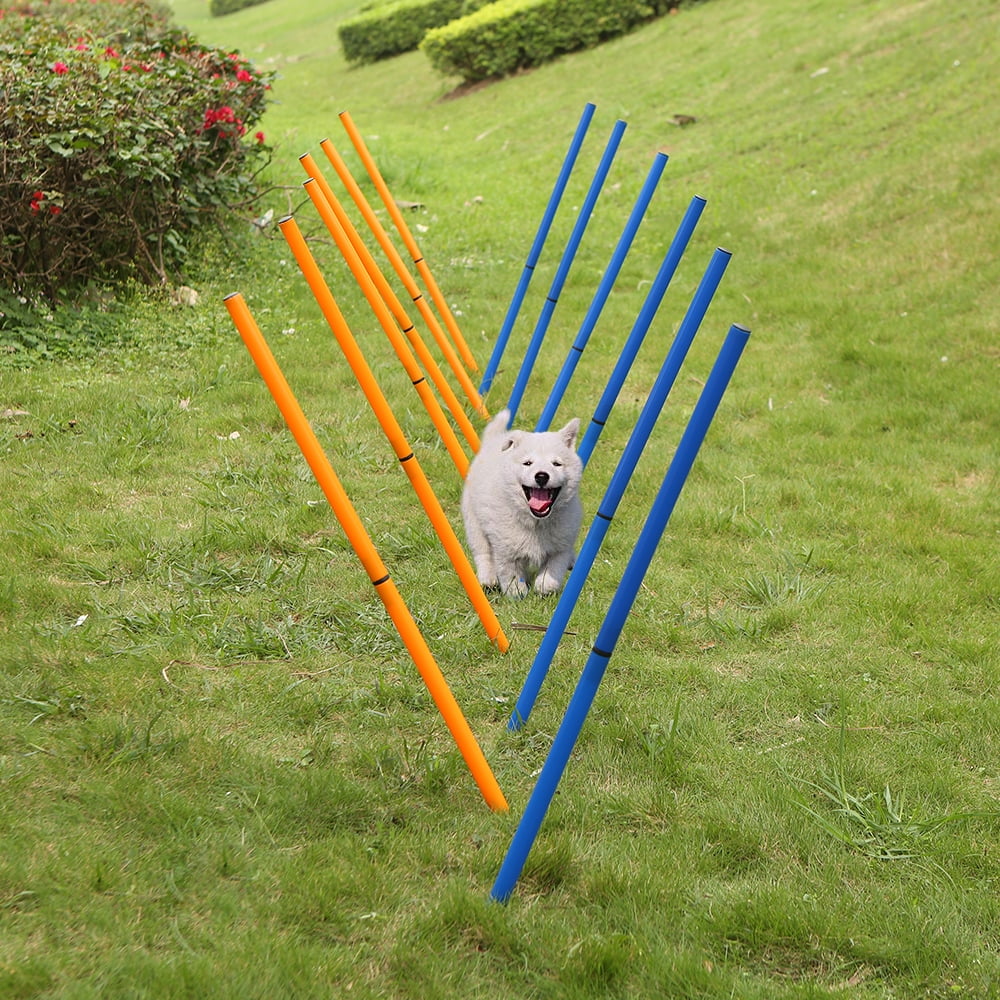 dog activity equipment
