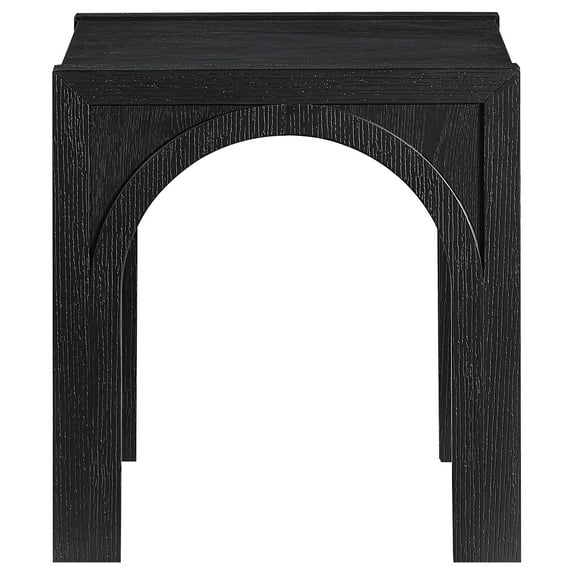Steve Silver Fitzgerald Transitional 20 inch Square End Table with Shelf, Black
