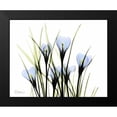thumbnail image 2 of Koetsier, Albert 18x15 Black Modern Framed Museum Art Print Titled - Bunched Crocus, 2 of 5