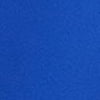 Electric Blue