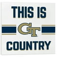 thumbnail image 1 of This Is Georgia Tech Country Old Gold & White 19.75 x 19.75 Canvas Decorative Art Sign, 1 of 1