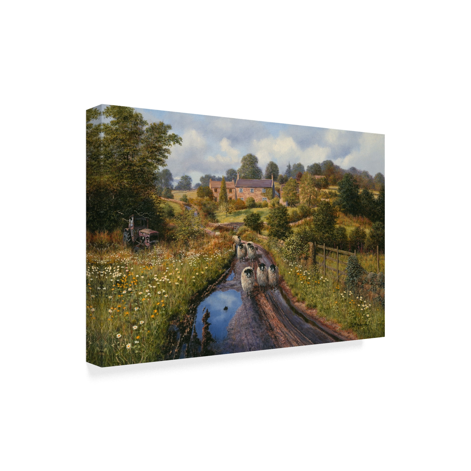 Trademark Fine Art 'Summer Showers' Canvas Art by Bill Makinson
