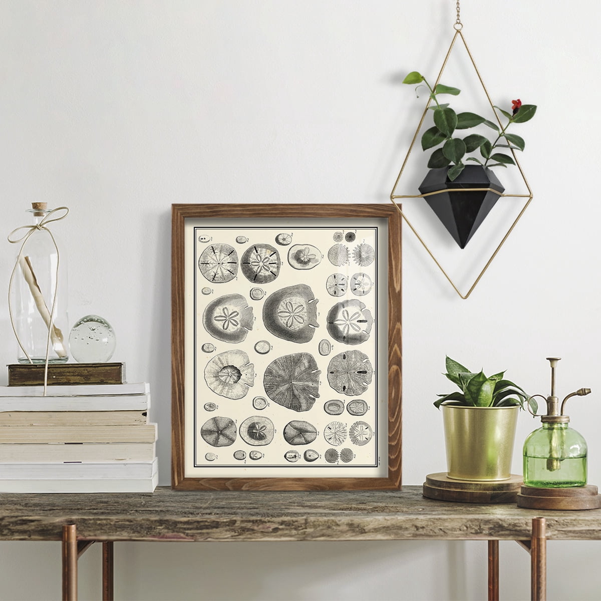 Aegean Collection II -Framed Print w/glass-Walnut