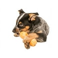 thumbnail image 5 of West Paw Zogoflex Qwizl Small 5.5" Dog Toy Tangerine, 5 of 5