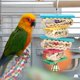 thumbnail image 1 of Juguete para columpio Ticfox para pájaros 2 piezas jaula para loros, 1 of 12