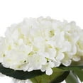 thumbnail image 3 of Enova Home Artificial Hydrangea Silk Flowers Arrangement in Clear Glass Vase With Faux Water (Cream), 3 of 3