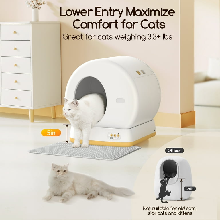 Automatic kitty litter box walmart online
