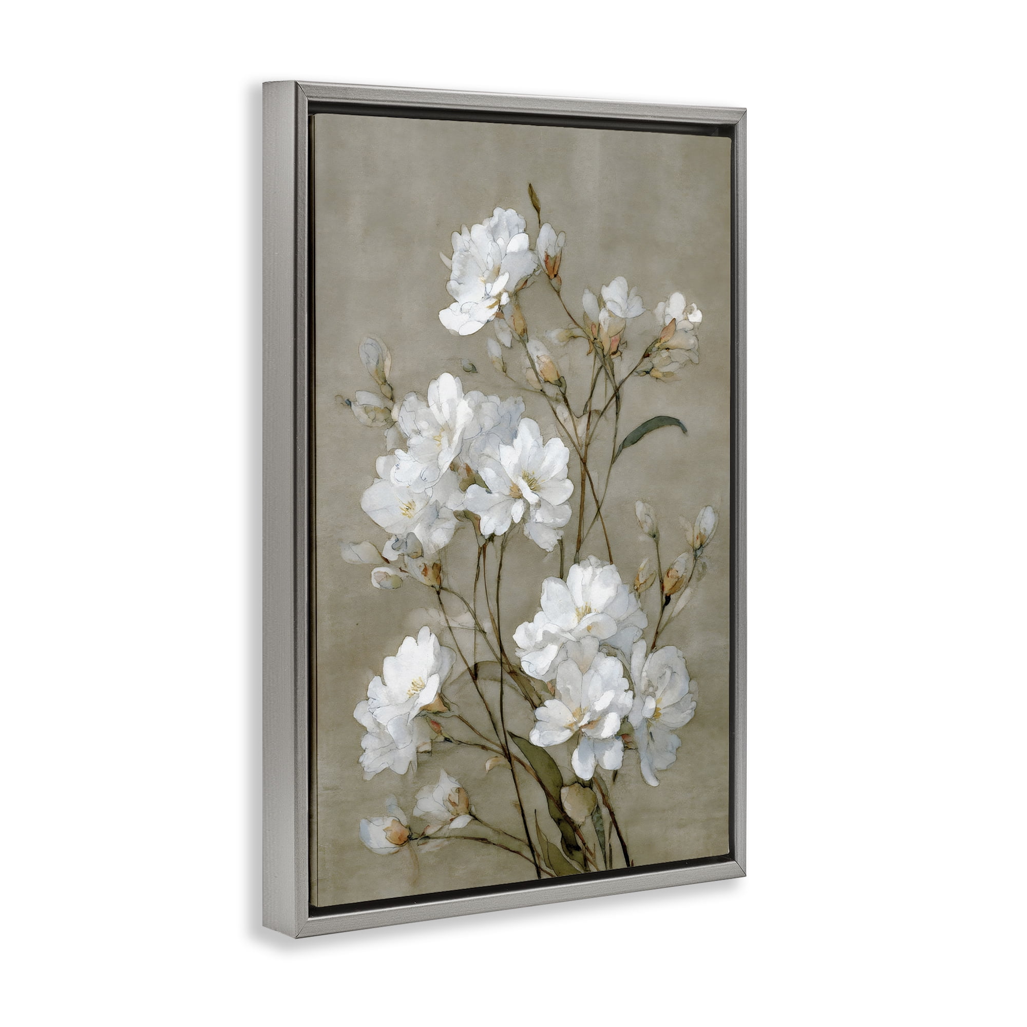 Stupell Industries Aged White Botanical Study Gray Framed Floater Canvas Wall Art, design by Petal Prints Design