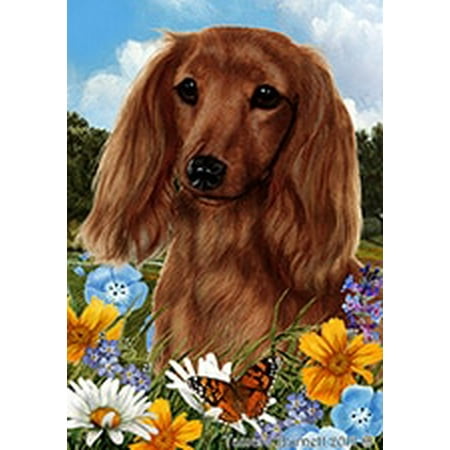 Dachshund Longhaired Red - Best of Breed Summer Flowers Garden Flags