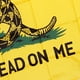 thumbnail image 4 of Bandera Amarilla con Pintura de Serpiente Enroscado Negro State Banderín de Americana CUTICAT Bandera del estado de Gadsden, 4 of 8