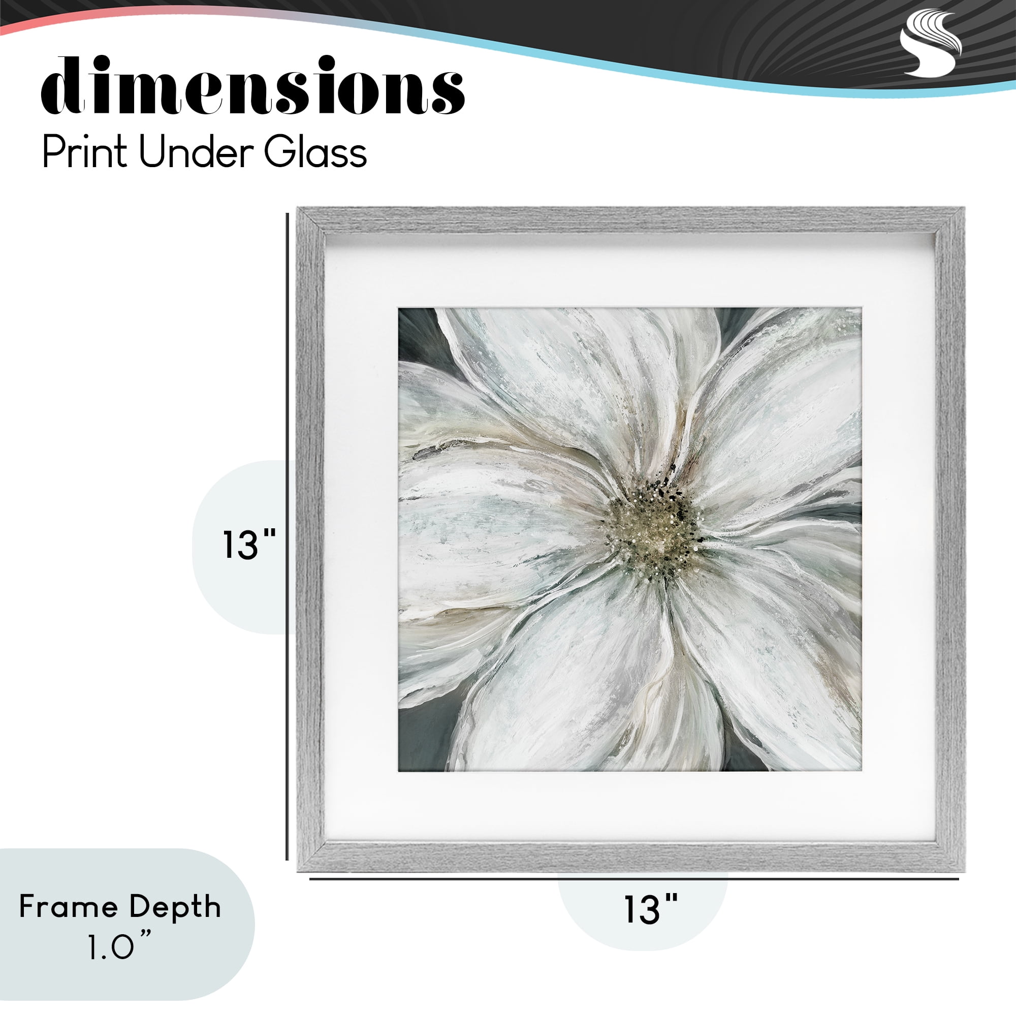 Stupell Industries Closeup Serene White Blossom Gray Framed Print Under Glass, design by Carol Robinson