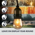 thumbnail image 3 of Newhouse Lighting 48ft String Lights 15 Sockets Warm White Light Bulbs, 3 of 6
