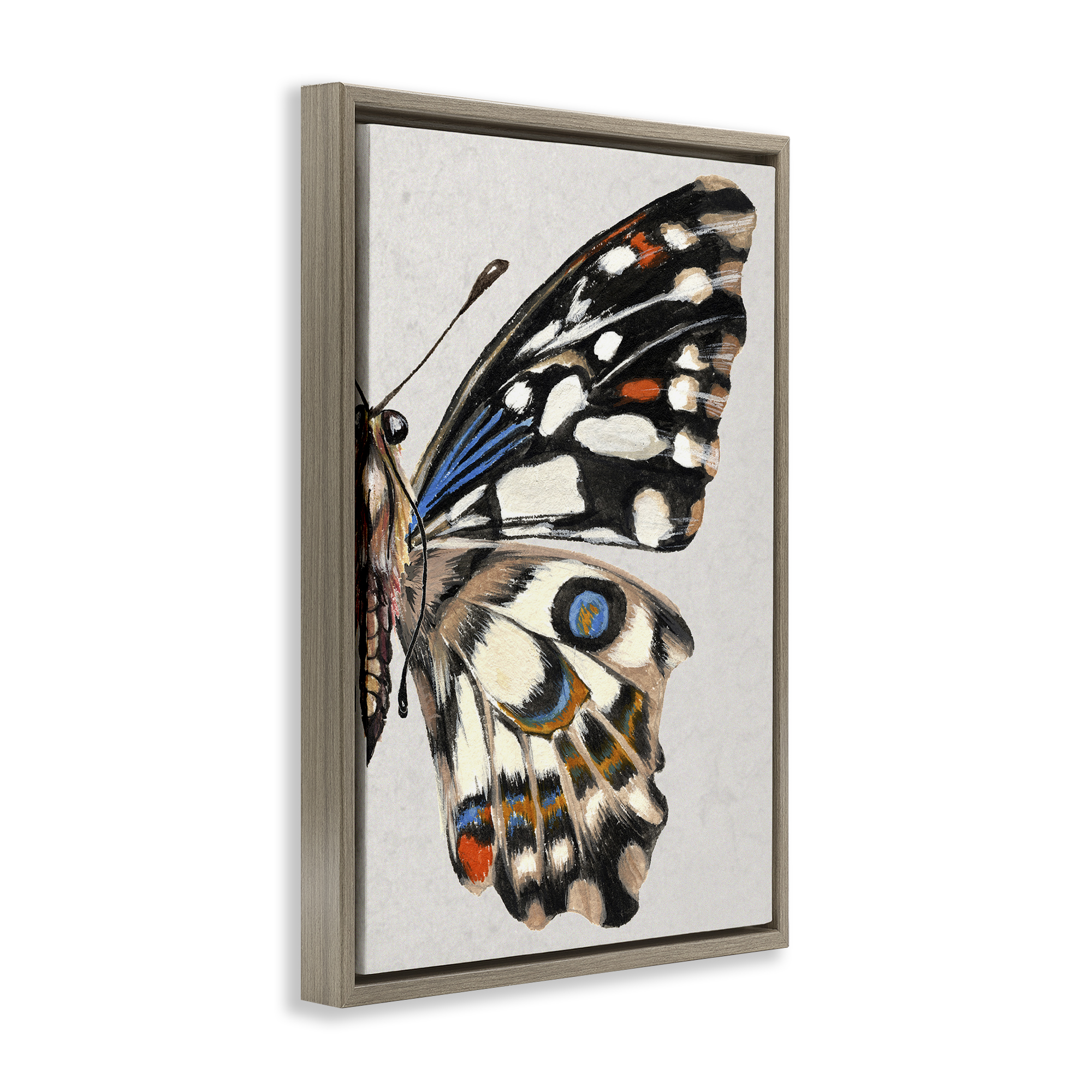Stupell Industries Butterfly Wing with Spots Animals & Insects Painting Brown Floater Framed Canvas Art Print Wall Art, 17 x 25