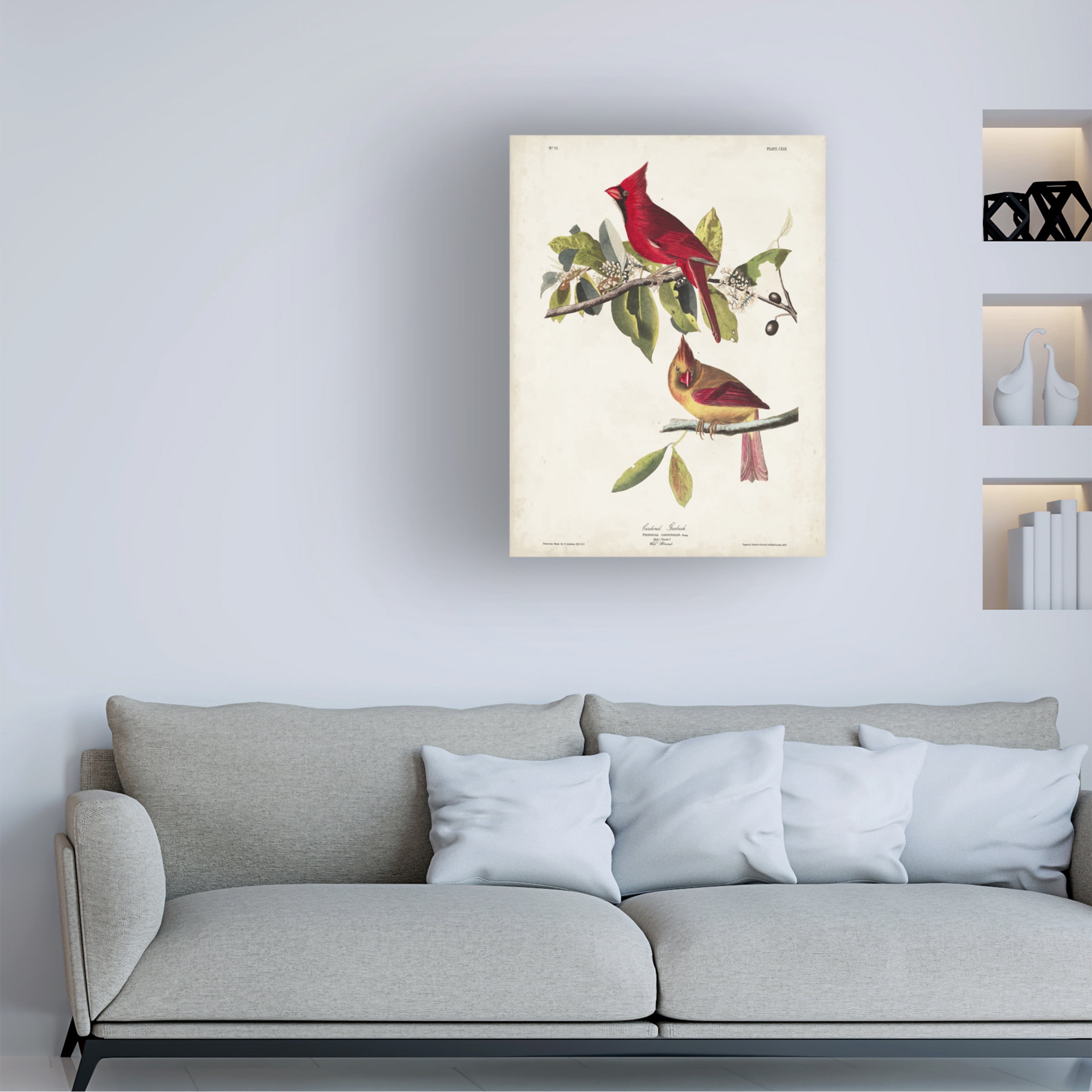 John James Audubon 'Cardinal Grosbeak' Canvas Art