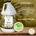 thumbnail image 4 of Rivière 12% Hydrogen Peroxide Cleaning Solution, 1 Gallon, Multipurpose Cleane, 4 of 4