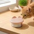 thumbnail image 4 of Cififendec 3-In-1 Silicone Pet Can Lid, 3.54", Cute Universal Food-Grade Reusable Airtight Sealing Cover for Cat and Dog Wet Food Cans, Gray, 4 of 5