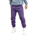 thumbnail image 2 of YDKZYMD Purple Mens Cargo Sweatpants Joggers Fleece Elastic Athletic Sweatpant with Multi Pockets Casual Baggy Pant Drawstring Heavyweight Jogger Pant Wide Straight Leg Hiking Warm Trousers 2XL, 2 of 5