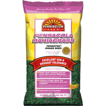 Pennington Pensacola Bahiagrass Grass Seed, 2 lbs (Best Time For Bermuda Grass Seed)