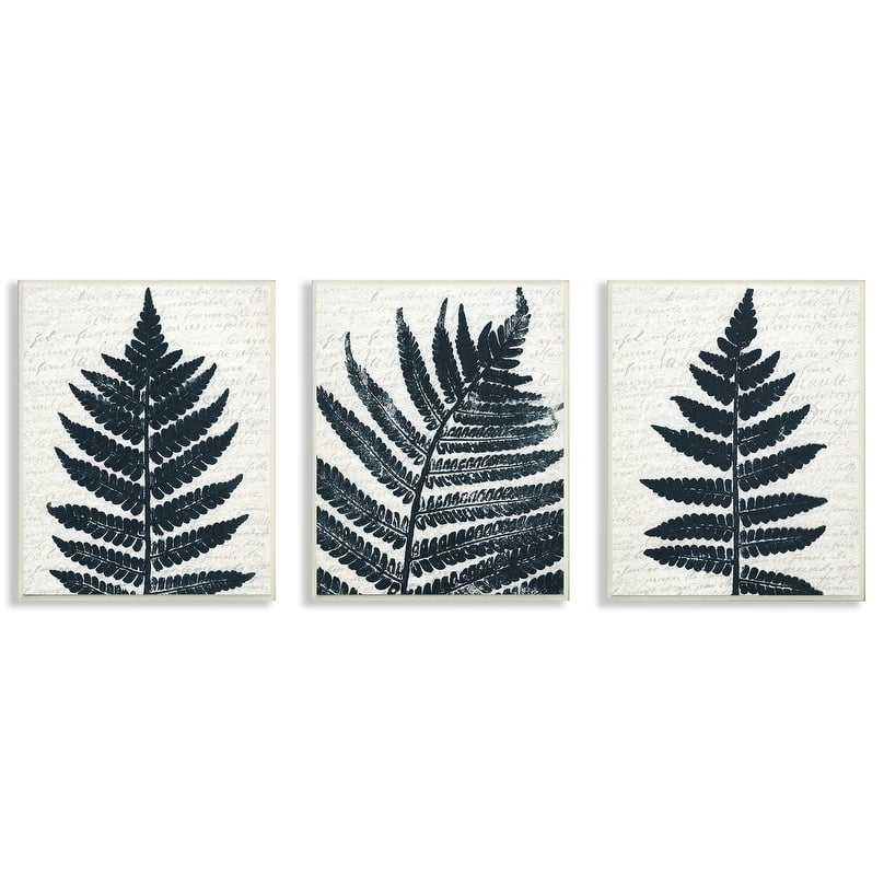 The Stupell Home Decor Bold Fern Pressing Prints on Collaged Paper Wall Plaque Art, 3pc, each 10 x 15