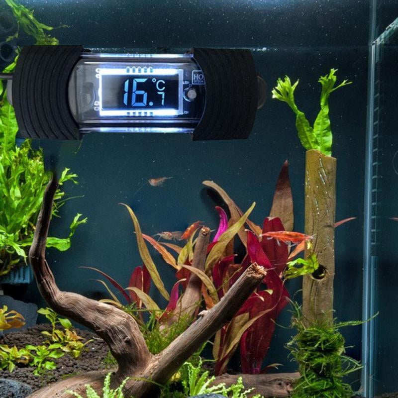 Fish Tank Thermometers Aquarium Electronic Tool for Glass Terrarium Regular