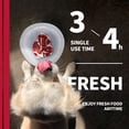thumbnail image 4 of All For Paws Chill-Out Cooling Pet Feeder for Dogs & Cats, 500 ml Cooler Bowl, 4 of 9