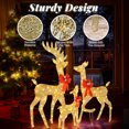 thumbnail image 5 of Ktaxon 3D Lighted Christmas 3-Piece Deer Set Outdoor Yard Decoration Set LED Lights, Stakes - Gold, 5 of 10