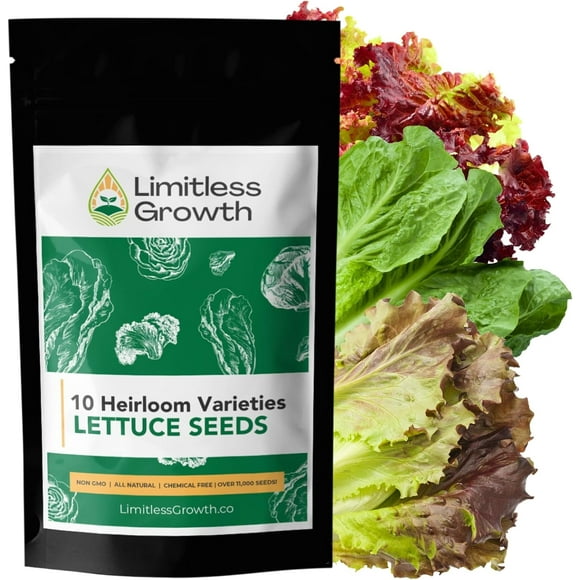 SHIQI-Lettuce Seed Variety Pack - 10 Heirloom Varieties - 10,000+ Seeds! Non-GMO - Romaine, Red Lettuce, Green Lettuce, Iceberg, & More!