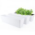thumbnail image 1 of GREANER Window Boxes Planters, 3PCS 16x3.8 Inch Large Herb Planters with Tray, Indoor Succulent Cactus Flowers Vegetable Plastic Rectangle, 1 of 7