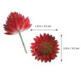 thumbnail image 2 of 8 Pcs 2 Ensembles de Belles Plantes de Simulation Succulentes Imitées (Vert Rouge), 2 of 7