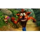 thumbnail image 5 of Nintendo Switch Juego Crash Bandicoot N. Sane Trilogy (Europeo), 5 of 8