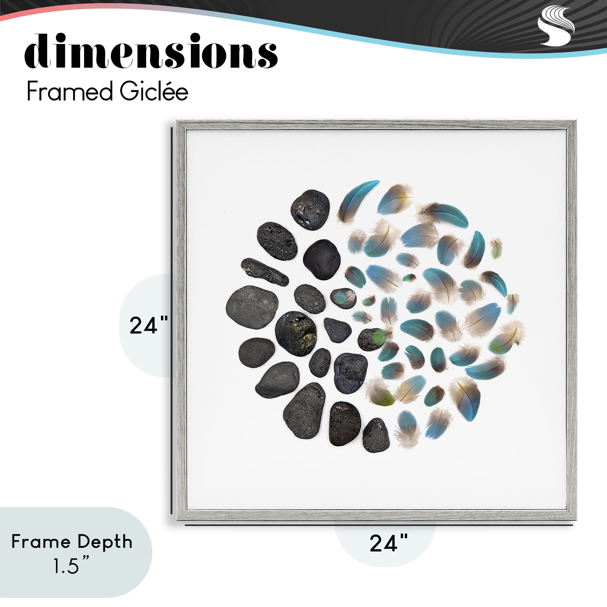 Stupell Industries Feathers & Rocks Collection Gray Framed Giclee Art, design by Beth Adoette