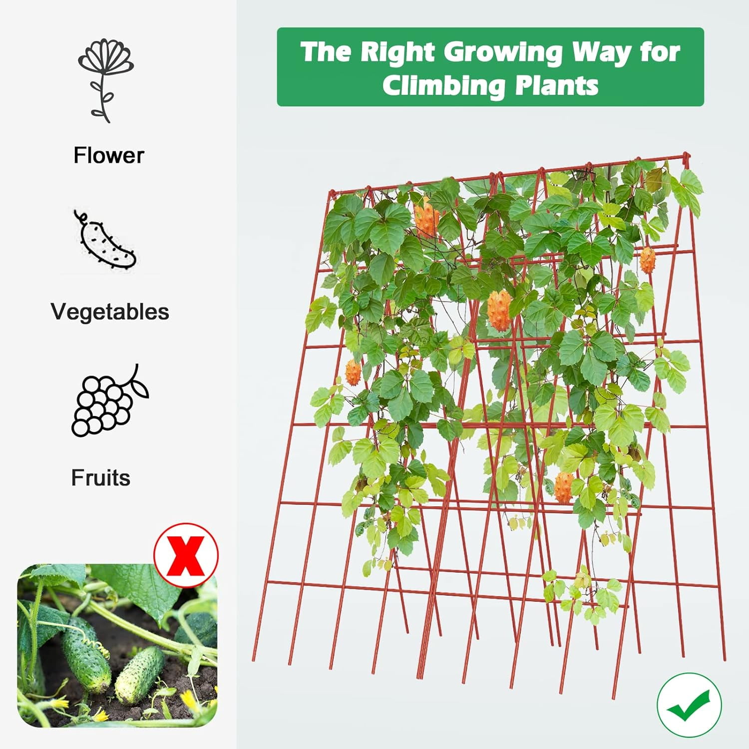 Cucumber Trellis, 2 Pack Foldable A Frame Trellis for Raised Bed Climbing Plants, Vegetables, Includes Plant Support Clips, Twist Ties, Plastic Ties- Made from PVC-Coated Steel